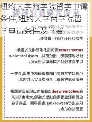 纽约大学商学院留学申请条件,纽约大学商学院留学申请条件及学费