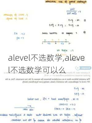 alevel不选数学,alevel不选数学可以么