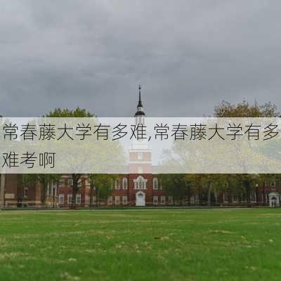 常春藤大学有多难,常春藤大学有多难考啊