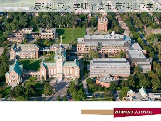 康科迪亚大学哪个城市,康科迪亚学院