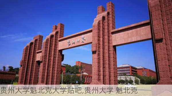 贵州大学魁北克大学贴吧,贵州大学 魁北克