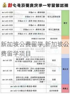 新加坡公费留学,新加坡公费留学项目