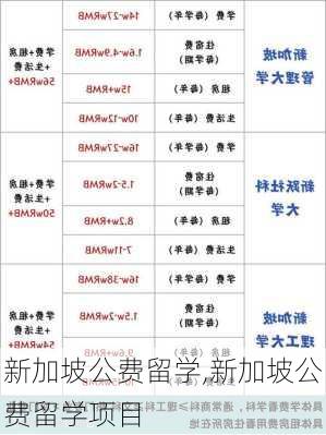 新加坡公费留学,新加坡公费留学项目