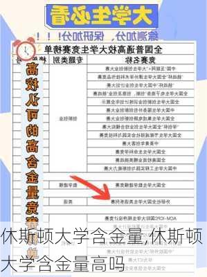 休斯顿大学含金量,休斯顿大学含金量高吗