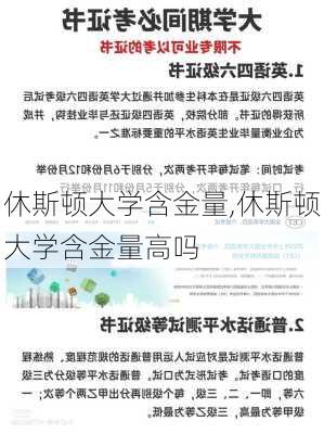 休斯顿大学含金量,休斯顿大学含金量高吗