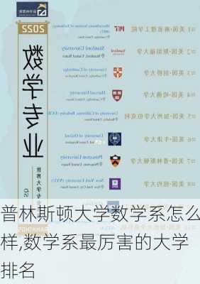 普林斯顿大学数学系怎么样,数学系最厉害的大学排名