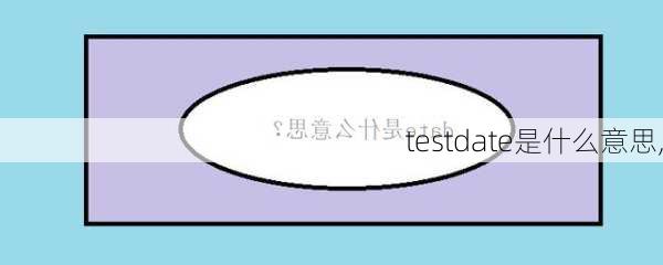 testdate是什么意思,