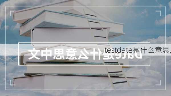 testdate是什么意思,