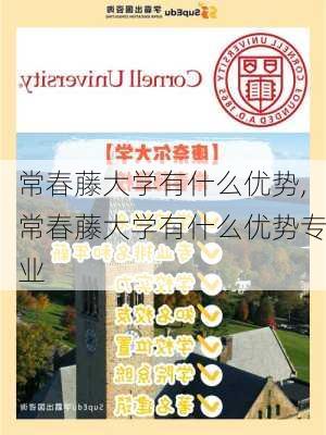 常春藤大学有什么优势,常春藤大学有什么优势专业