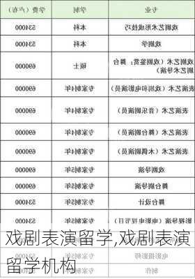 戏剧表演留学,戏剧表演留学机构