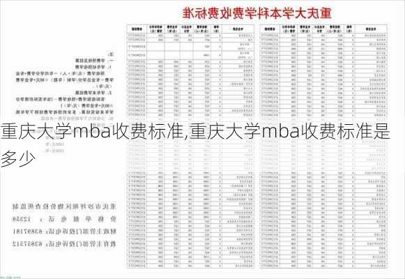 重庆大学mba收费标准,重庆大学mba收费标准是多少