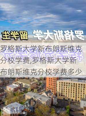 罗格斯大学新布朗斯维克分校学费,罗格斯大学新布朗斯维克分校学费多少