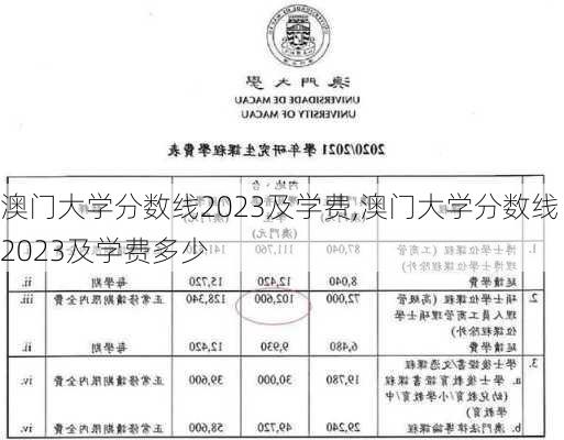 澳门大学分数线2023及学费,澳门大学分数线2023及学费多少