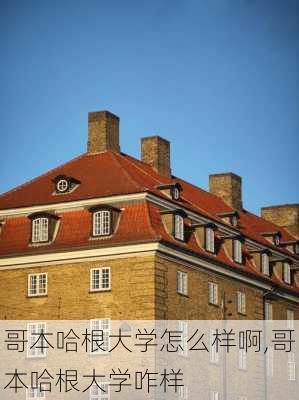 哥本哈根大学怎么样啊,哥本哈根大学咋样