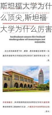 斯坦福大学为什么顶尖,斯坦福大学为什么厉害