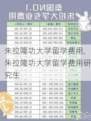 朱拉隆功大学留学费用,朱拉隆功大学留学费用研究生