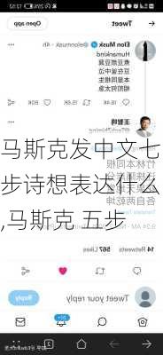 马斯克发中文七步诗想表达什么,马斯克 五步