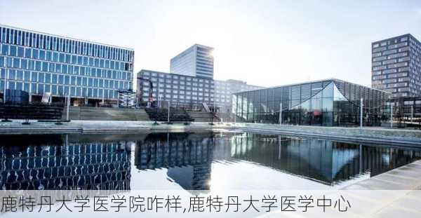 鹿特丹大学医学院咋样,鹿特丹大学医学中心