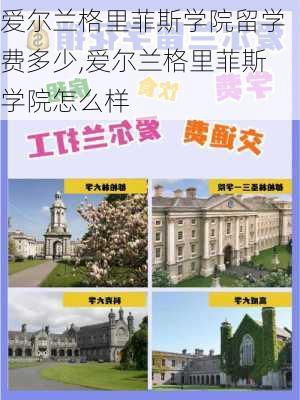 爱尔兰格里菲斯学院留学费多少,爱尔兰格里菲斯学院怎么样