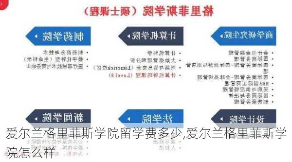 爱尔兰格里菲斯学院留学费多少,爱尔兰格里菲斯学院怎么样