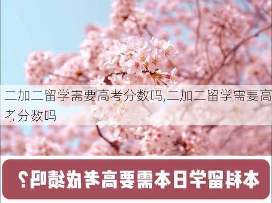 二加二留学需要高考分数吗,二加二留学需要高考分数吗