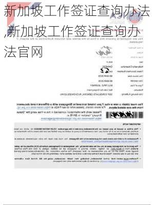 新加坡工作签证查询办法,新加坡工作签证查询办法官网