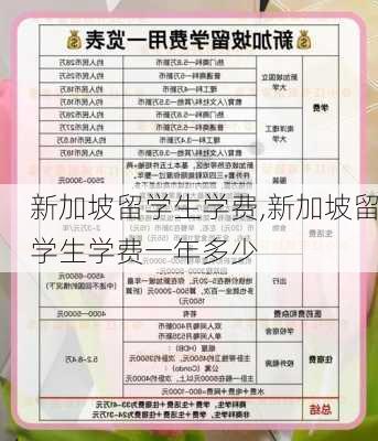 新加坡留学生学费,新加坡留学生学费一年多少