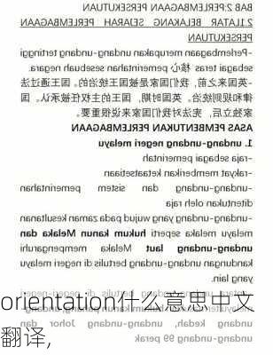 orientation什么意思中文翻译,