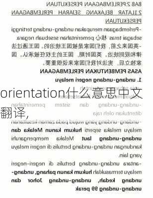 orientation什么意思中文翻译,