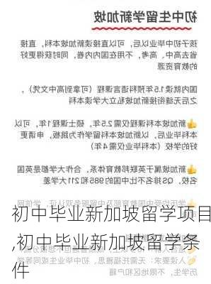 初中毕业新加坡留学项目,初中毕业新加坡留学条件