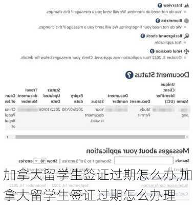 加拿大留学生签证过期怎么办,加拿大留学生签证过期怎么办理