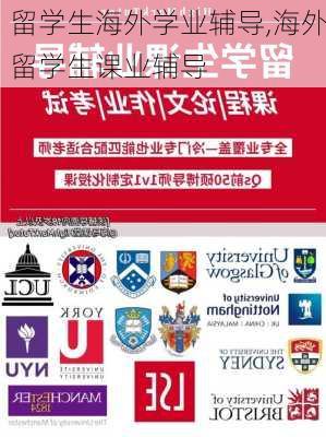 留学生海外学业辅导,海外留学生课业辅导