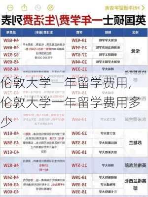 伦敦大学一年留学费用,伦敦大学一年留学费用多少