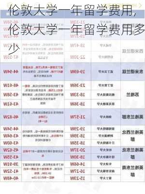 伦敦大学一年留学费用,伦敦大学一年留学费用多少