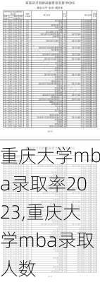 重庆大学mba录取率2023,重庆大学mba录取人数