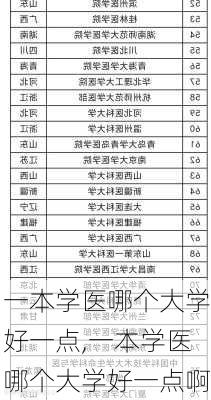 一本学医哪个大学好一点,一本学医哪个大学好一点啊