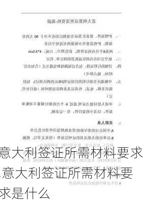 意大利签证所需材料要求,意大利签证所需材料要求是什么