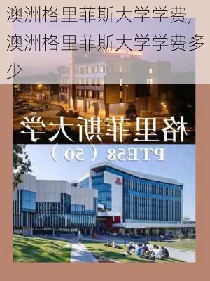 澳洲格里菲斯大学学费,澳洲格里菲斯大学学费多少