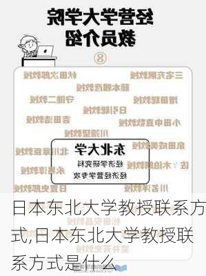 日本东北大学教授联系方式,日本东北大学教授联系方式是什么