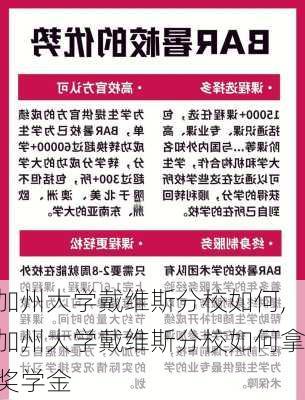 加州大学戴维斯分校如何,加州大学戴维斯分校如何拿奖学金