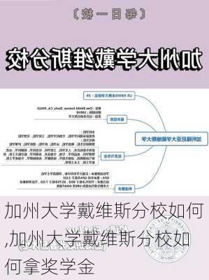 加州大学戴维斯分校如何,加州大学戴维斯分校如何拿奖学金