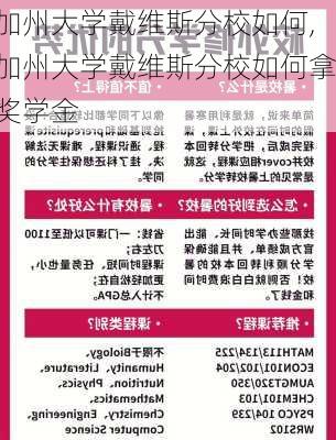 加州大学戴维斯分校如何,加州大学戴维斯分校如何拿奖学金