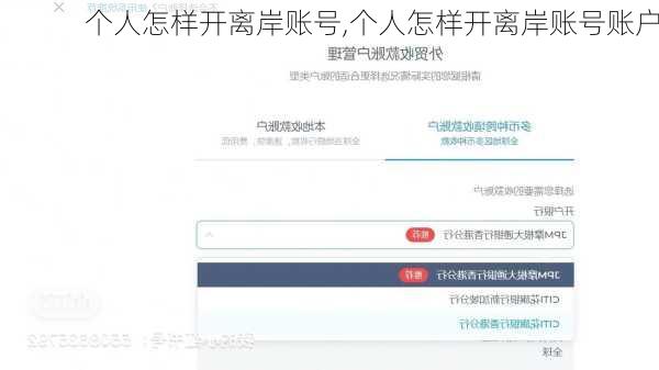个人怎样开离岸账号,个人怎样开离岸账号账户