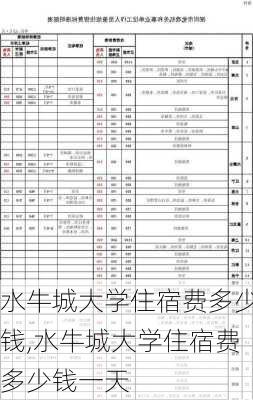 水牛城大学住宿费多少钱,水牛城大学住宿费多少钱一天