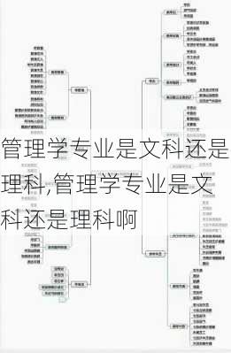 管理学专业是文科还是理科,管理学专业是文科还是理科啊