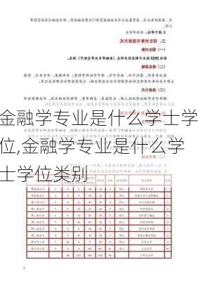 金融学专业是什么学士学位,金融学专业是什么学士学位类别