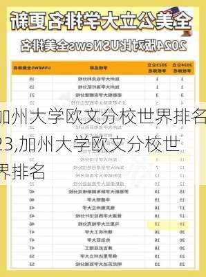 加州大学欧文分校世界排名23,加州大学欧文分校世界排名