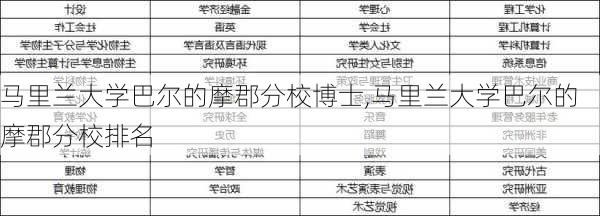 马里兰大学巴尔的摩郡分校博士,马里兰大学巴尔的摩郡分校排名