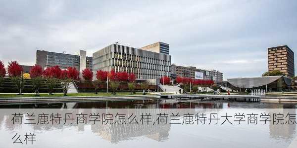 荷兰鹿特丹商学院怎么样,荷兰鹿特丹大学商学院怎么样