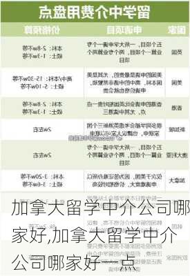 加拿大留学中介公司哪家好,加拿大留学中介公司哪家好一点